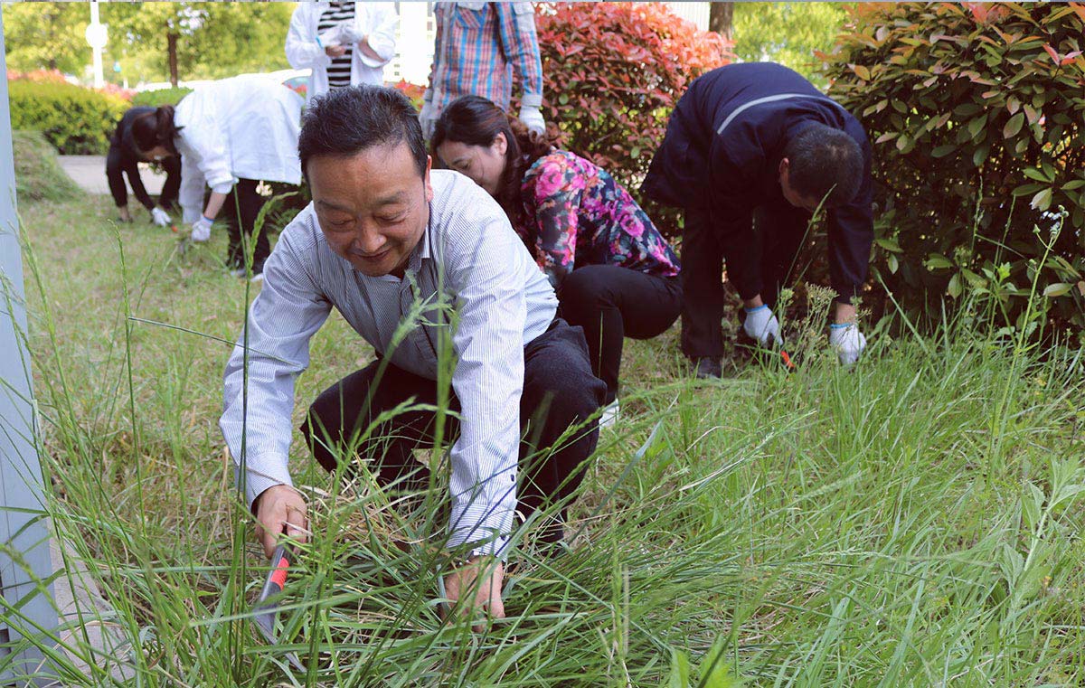 送料機(jī)廠除草活動