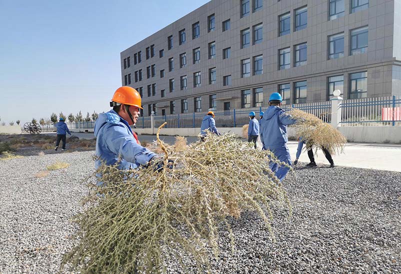 常州送料機廠區(qū)清理