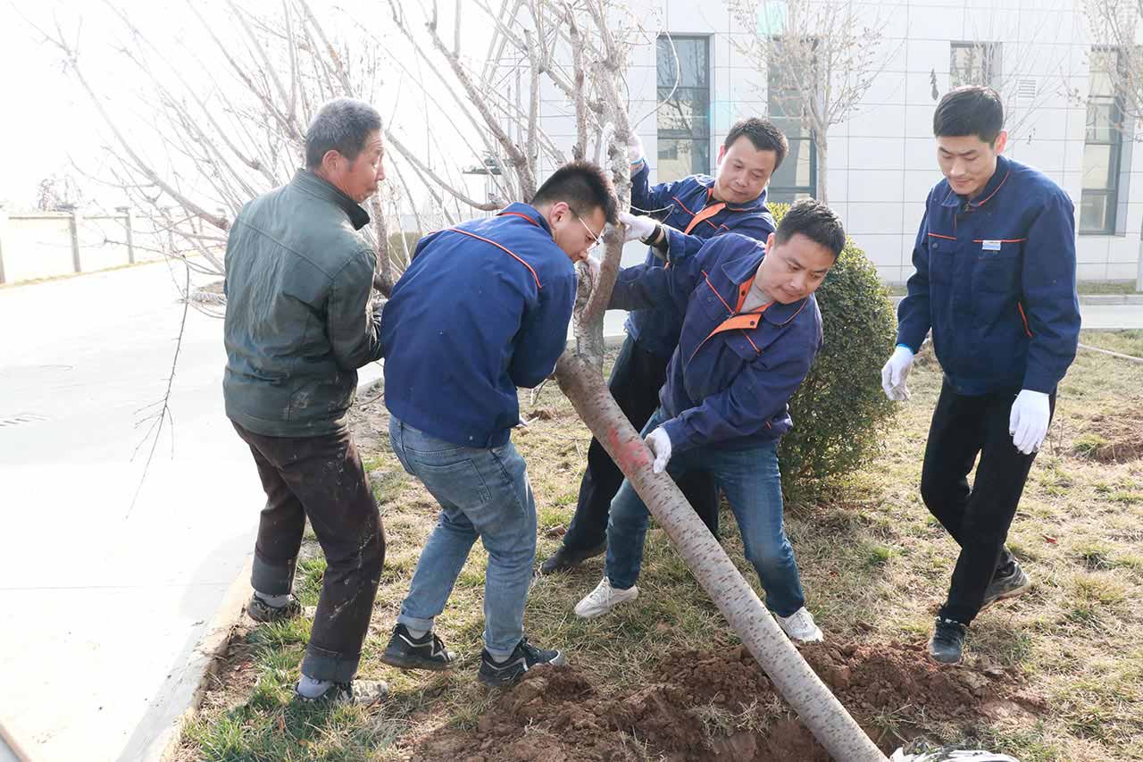 江蘇工廠植樹活動(dòng)