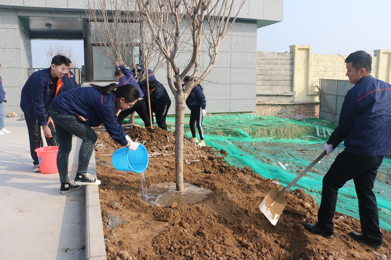 三合一送料機(jī)工廠植樹